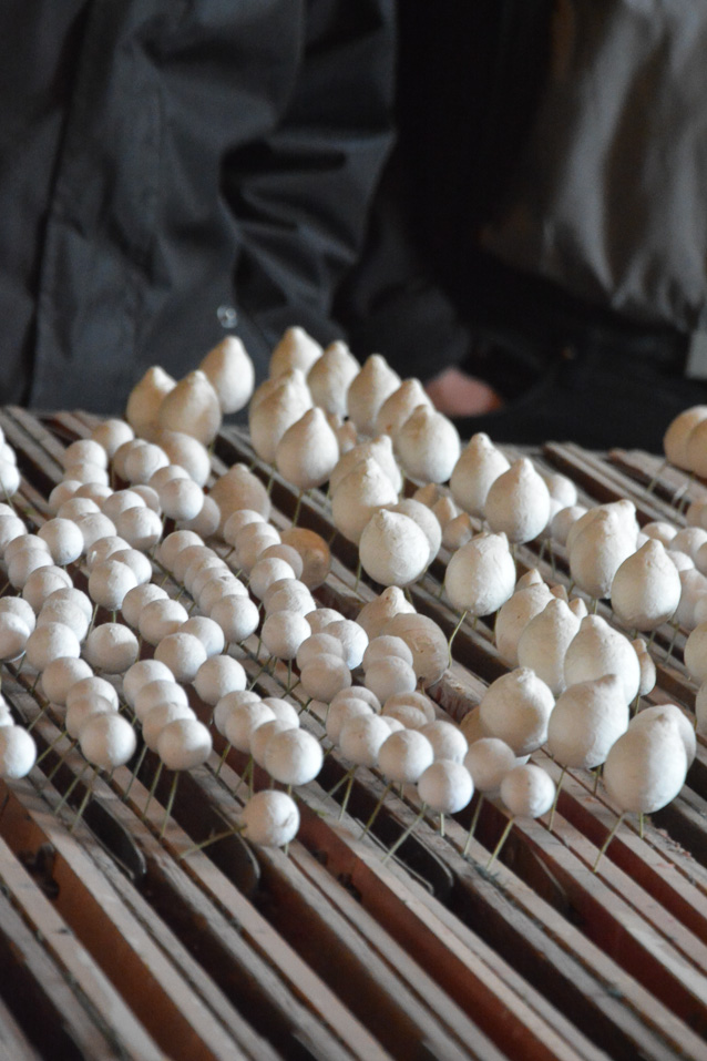 Moulin de la Fleuristerie44